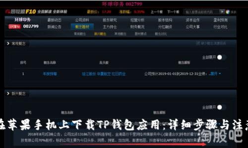 如何在苹果手机上下载TP钱包应用：详细步骤与注意事项
