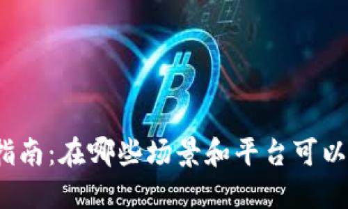 数字钱包使用指南:在哪些场景和平台可以使用数字钱包?