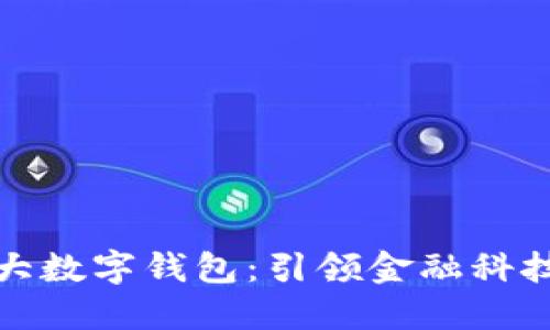 全球最大数字钱包:引领金融科技新时代