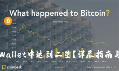 如何在TPWallet中达到二星？详尽指南与实用技巧