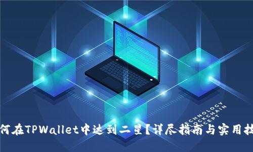 如何在TPWallet中达到二星？详尽指南与实用技巧