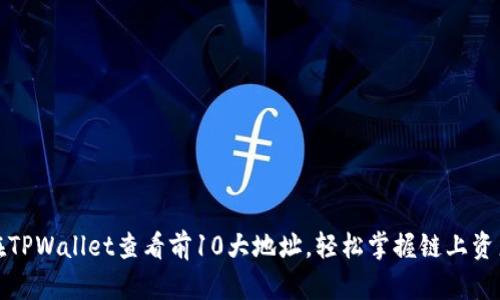 如何在TPWallet查看前10大地址,轻松掌握链上资产动态