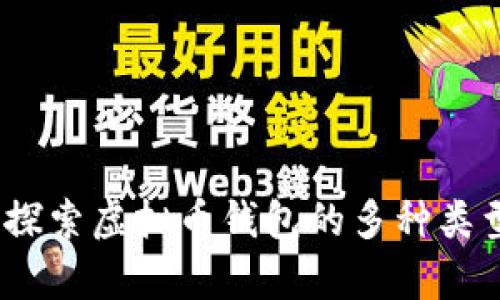 全面解析:探索虚拟币钱包的多种类型及其特点