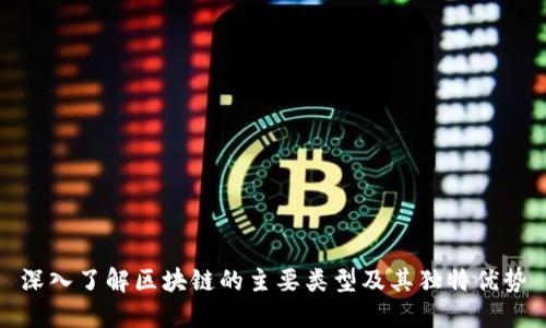 深入了解区块链的主要类型及其独特优势