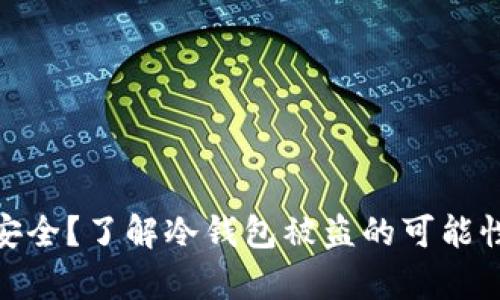 冷钱包真的安全?了解冷钱包被盗的可能性与防范措施