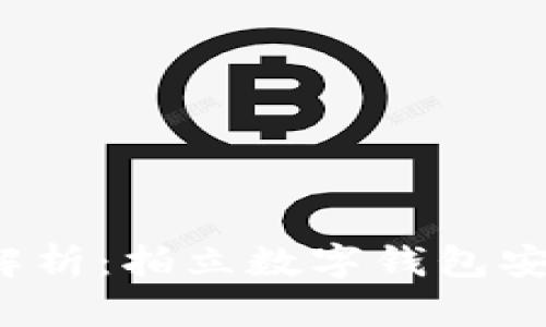 全面解析:拍立数字钱包安全吗?