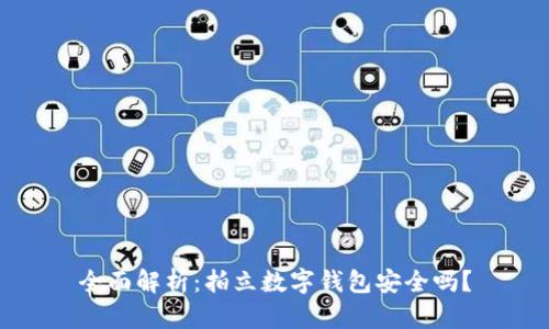 全面解析:拍立数字钱包安全吗?