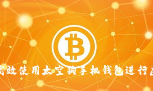 如何安全高效使用太空狗手机钱包进行虚拟币投资