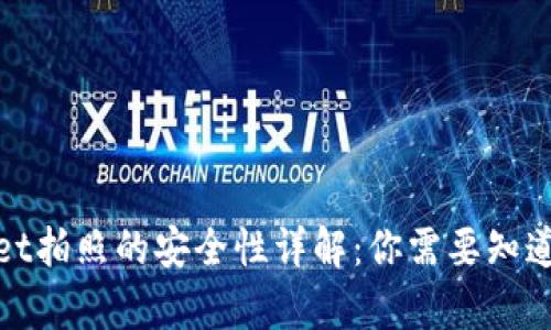 tpwallet拍照的安全性详解:你需要知道的一切