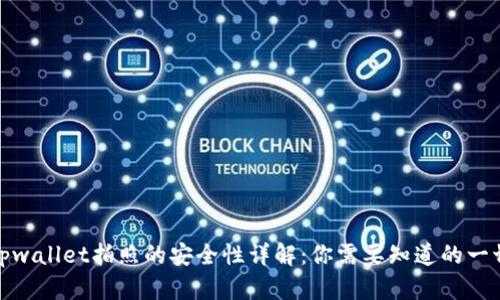 tpwallet拍照的安全性详解:你需要知道的一切