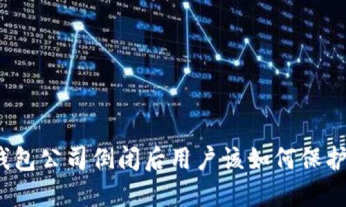 加密钱包公司倒闭后用户该如何保护资产?