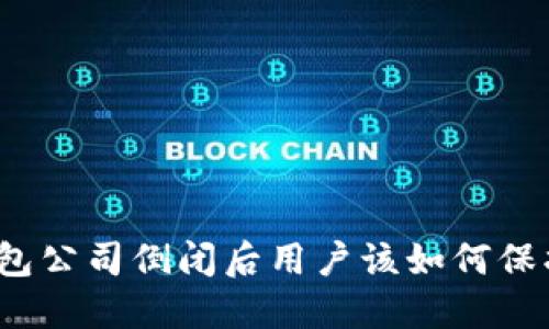 加密钱包公司倒闭后用户该如何保护资产?