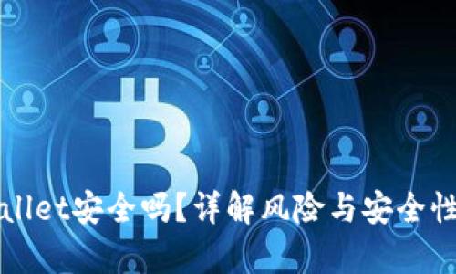 TPWallet安全吗?详解风险与安全性分析