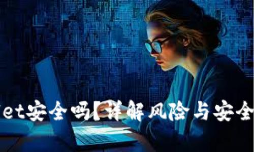 TPWallet安全吗?详解风险与安全性分析