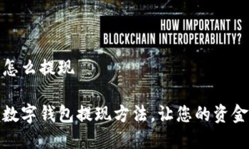 数字钱包怎么提现

轻松掌握数字钱包提现方法，让您的资金流动无忧