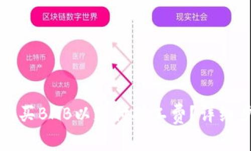 tpwallet如何购买BNB以支付矿工费?详细步骤和技巧解析