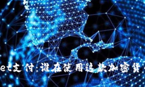 TPWallet支付：谁在使用这款加密货币钱包？