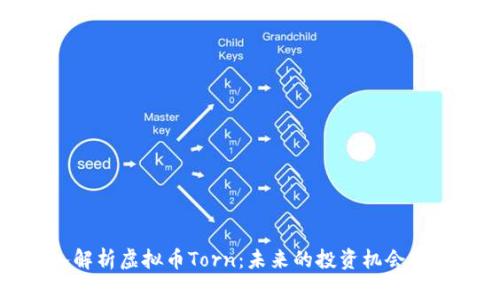 深入解析虚拟币Torn：未来的投资机会与风险