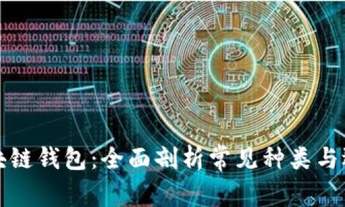 探秘区块链钱包：全面剖析常见种类与选择指南