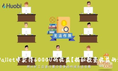 如何在TPWallet中获得6000U的收益？揭秘投资收益的潜力与路径