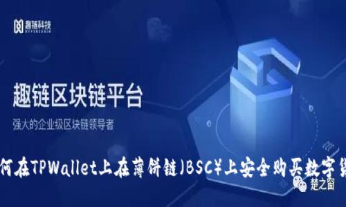 如何在TPWallet上在薄饼链(BSC)上安全购买数字货币