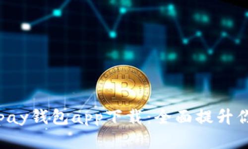 高效安全的虚拟币Topay钱包app下载：全面提升你的数字资产管理体验