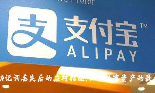 钱包助记词丢失后的应对措施：保护数字资产的最佳实践