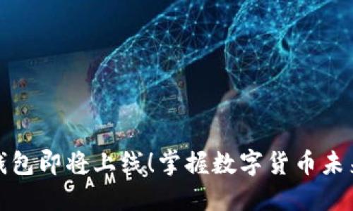 五行币电子钱包即将上线!掌握数字货币未来的最佳选择