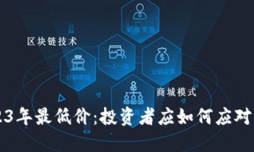 狗狗币2023年最低价:投资者应如何应对与未来展望