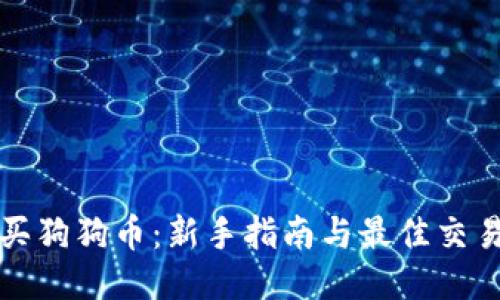 如何购买狗狗币:新手指南与最佳交易所推荐