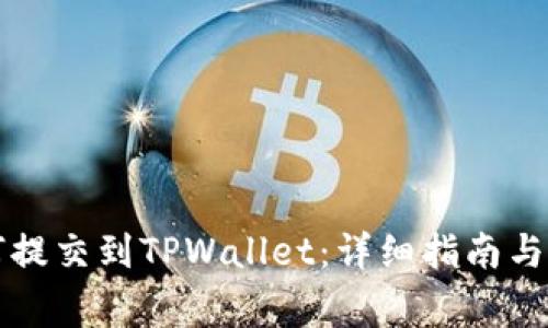 新币如何提交到TPWallet：详细指南与注意事项