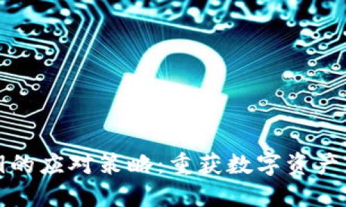 丢失比特币密钥的应对策略:重获数字资产的可能性与技巧