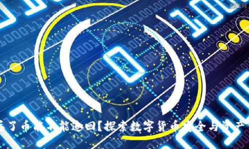 TPWallet丢了币能不能追回？探索数字货币安全与资产保护的策略