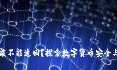 TPWallet丢了币能不能追回？探索数字货币安全与资产保护的策略