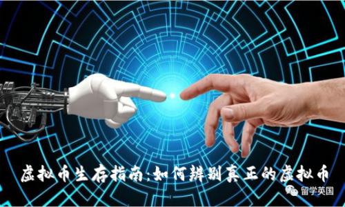 虚拟币生存指南：如何辨别真正的虚拟币