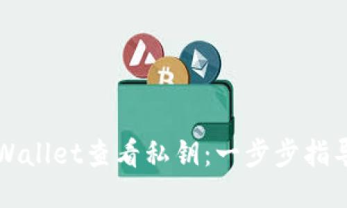 如何通过TPWallet查看私钥：一步步指导与安全提示