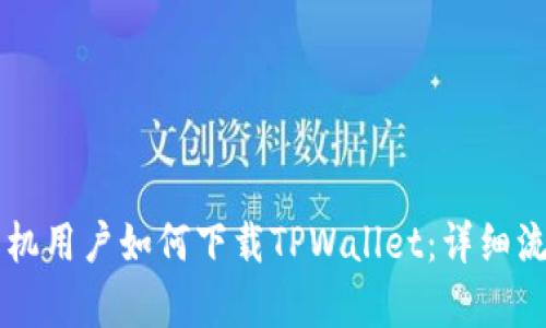 苹果手机用户如何下载TPWallet:详细流程解析