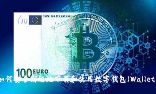如何安全高效地下载和使用数字钱包（Wallet）