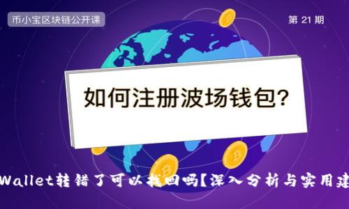 TPWallet转错了可以找回吗？深入分析与实用建议