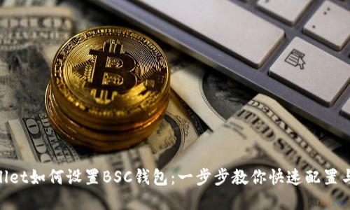  tpwallet如何设置BSC钱包：一步步教你快速配置与使用 
