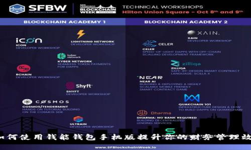  如何使用钱能钱包手机版提升你的财务管理效率