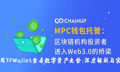 如何使用TPWallet查看数字资产走势：深度解析与实用技巧
