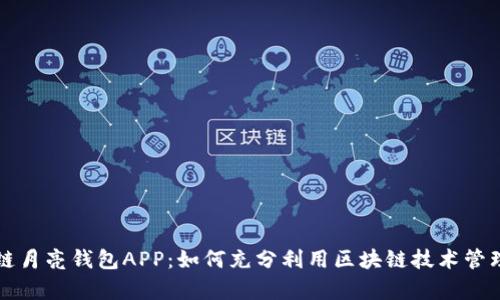 深度解析区块链月亮钱包APP：如何充分利用区块链技术管理您的数字资产