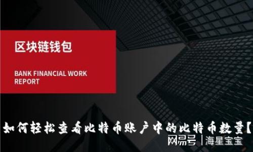 如何轻松查看比特币账户中的比特币数量？