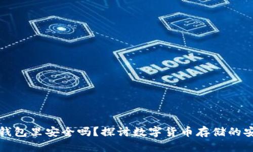 虚拟币放在钱包里安全吗？探讨数字货币存储的安全性与风险