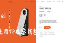 bagei/bagei如何高效使用TP观