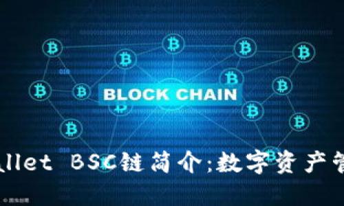 ### TPWallet BSC链简介：数字资产管理的新选择