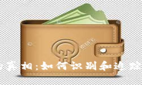 虚拟币追踪的真相:如何识别和追踪数字货币交易