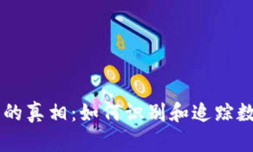 虚拟币追踪的真相:如何识别和追踪数字货币交易