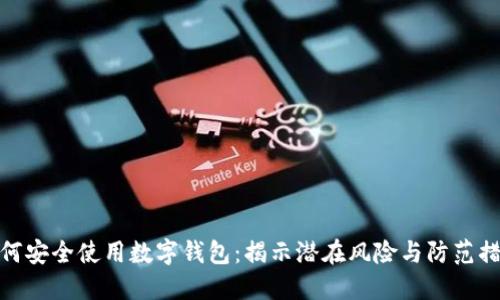 如何安全使用数字钱包:揭示潜在风险与防范措施